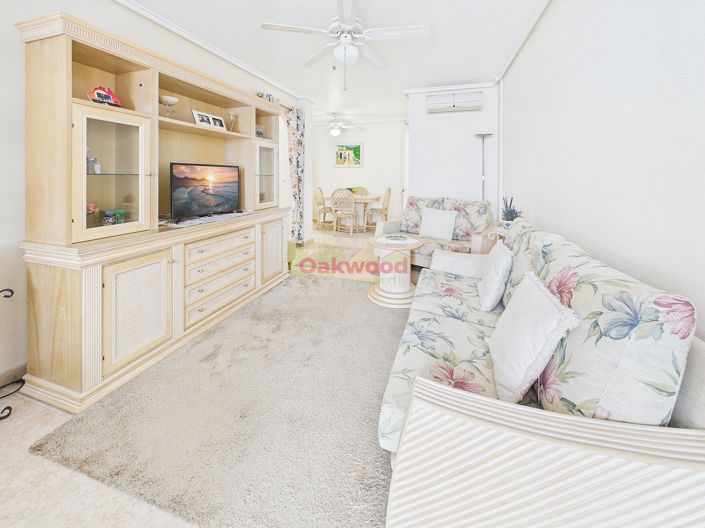 Image No.4-2 Bed Quad for sale