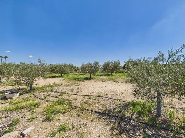 Image No.34-3 Bed Villa for sale