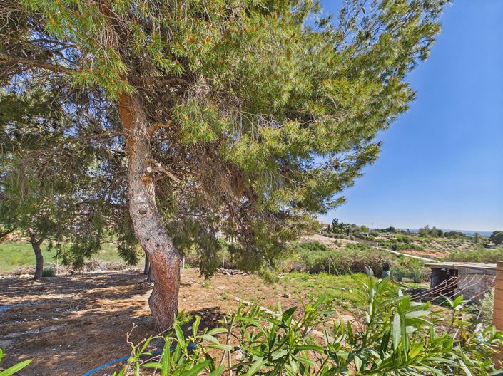 Image No.36-3 Bed Villa for sale