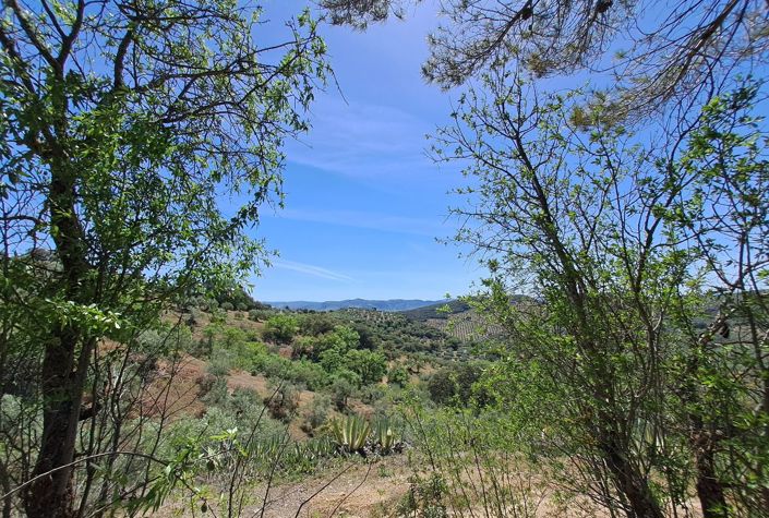 Image No.22-4 Bed Villa for sale