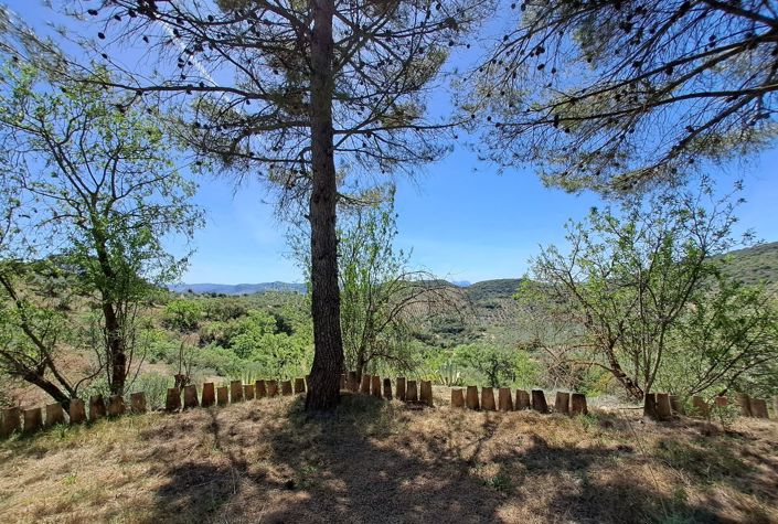 Image No.23-4 Bed Villa for sale