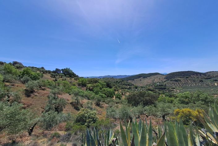 Image No.25-4 Bed Villa for sale