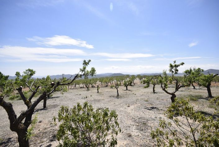 Image No.13-4 Bed Villa for sale