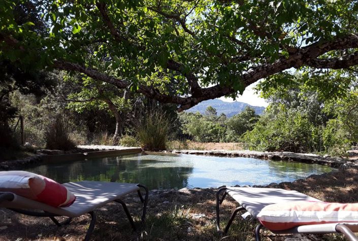 Image No.15-6 Bed Country House for sale