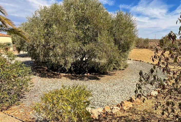 Image No.35-Villa de 3 chambres à vendre à Albox