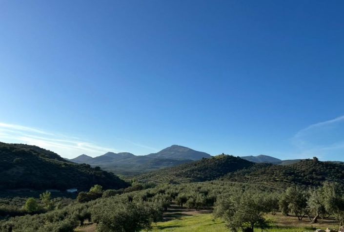 Image No.38-Maison de campagne de 4 chambres à vendre à Castillo de Locubín