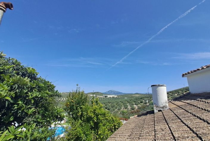 Image No.26-Maison de ville de 4 chambres à vendre à Fuente-Tójar