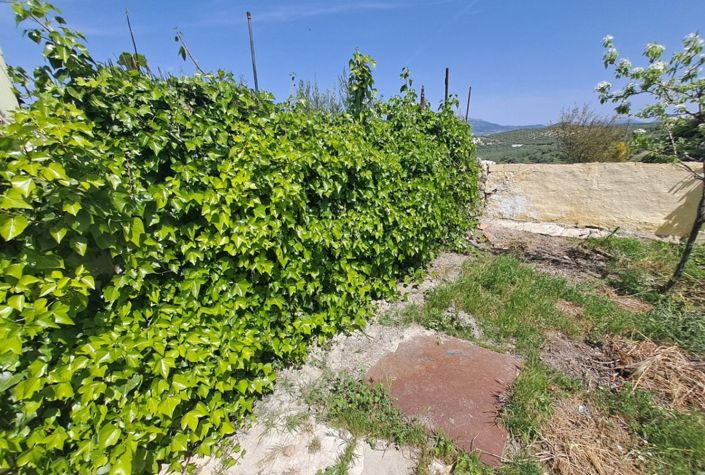 Image No.9-Maison de ville de 4 chambres à vendre à Fuente-Tójar