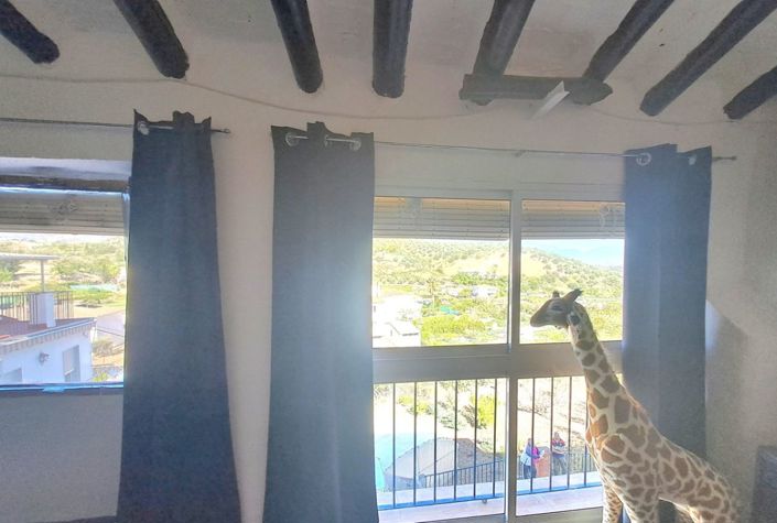 Image No.16-Maison de ville de 3 chambres à vendre à Castillo de Locubín