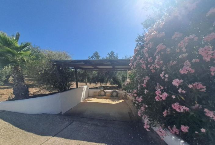 Image No.40-4 Bed Country House for sale