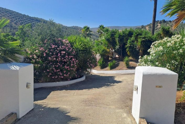 Image No.41-4 Bed Country House for sale