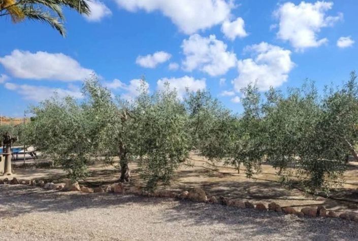 Image No.9-3 Bed Country House for sale