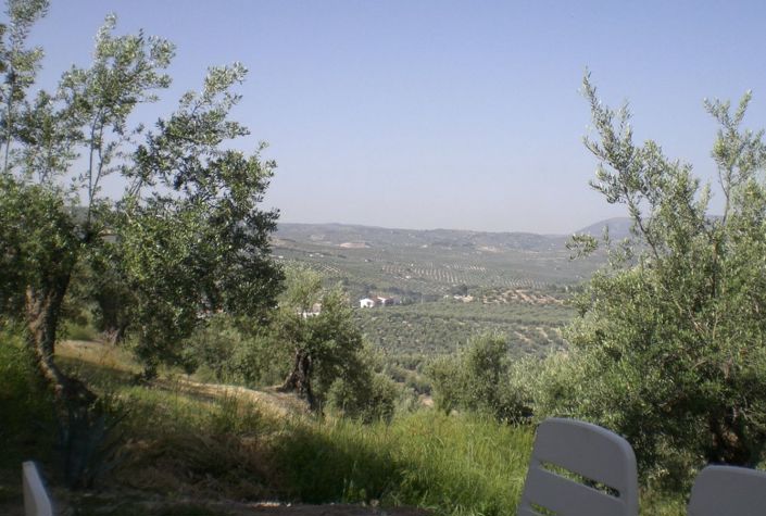 Image No.16-3 Bed Country House for sale