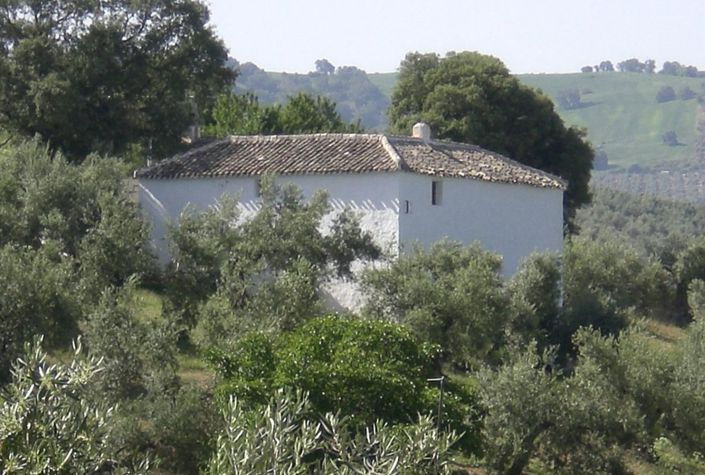 Image No.22-3 Bed Country House for sale