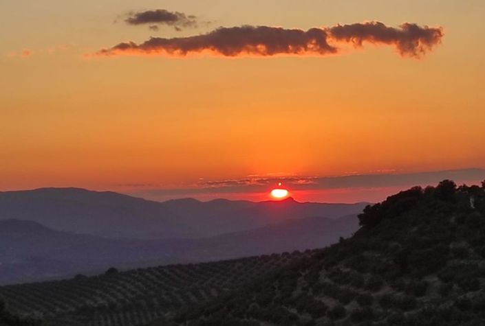 Image No.6-3 Bed Country House for sale