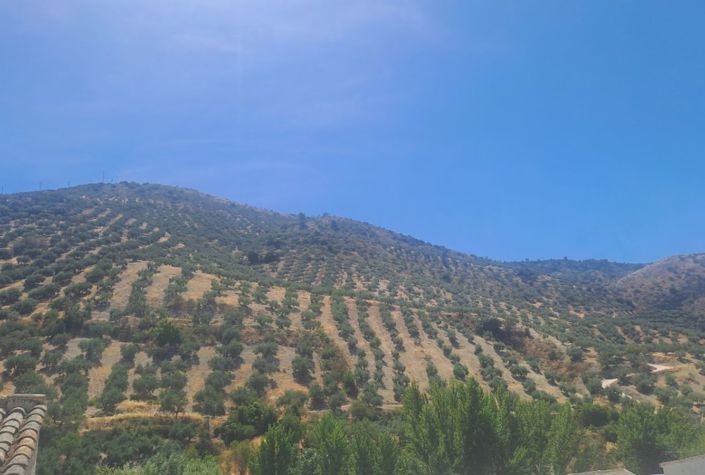 Image No.2-Maison de ville de 4 chambres à vendre à Almajalejo