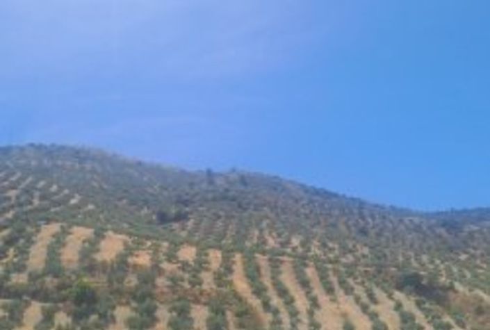 Image No.7-Maison de ville de 4 chambres à vendre à Almajalejo