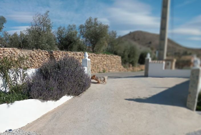 Image No.29-Villa de 3 chambres à vendre à Oria