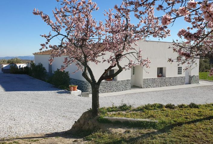 Image No.5-Villa de 3 chambres à vendre à Oria