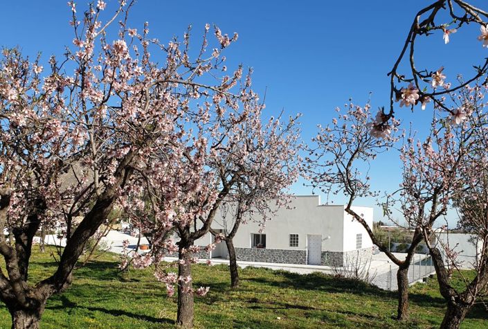 Image No.6-Villa de 3 chambres à vendre à Oria