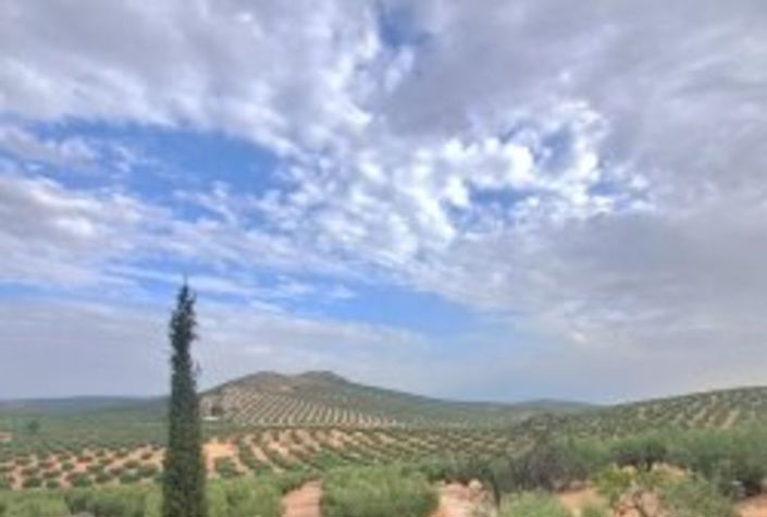 Image No.11-7 Bed Country House for sale