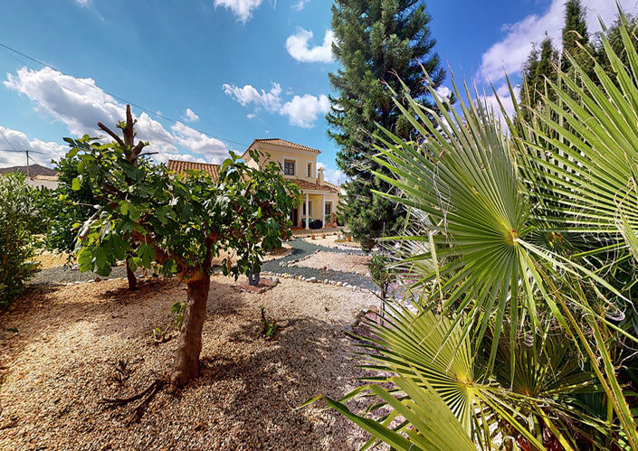 Image No.48-3 Bed Villa for sale