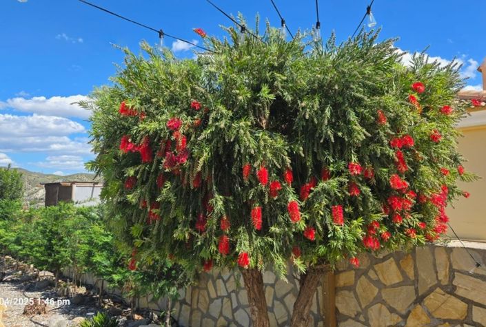 Image No.26-3 Bed Villa for sale