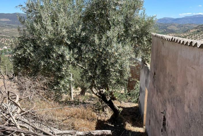 Image No.22-5 Bed Townhouse for sale