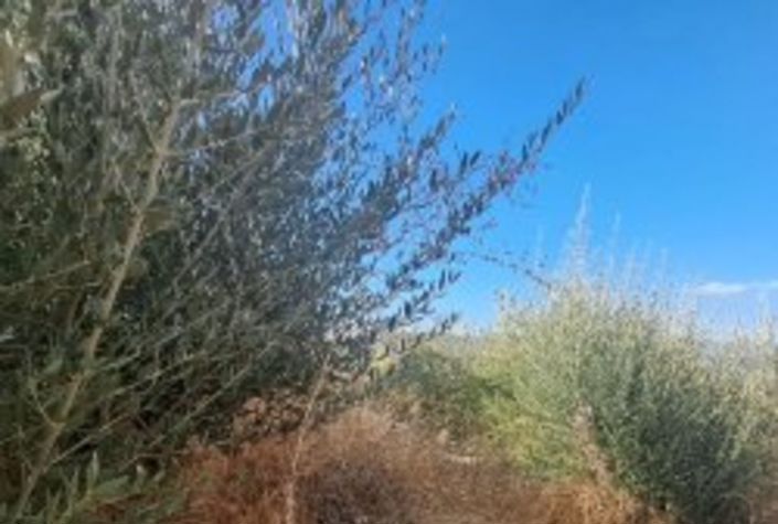 Image No.23-5 Bed Townhouse for sale