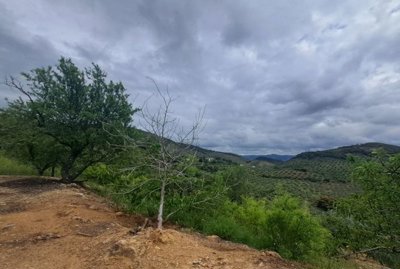 Dream Homes Almeria most sold property