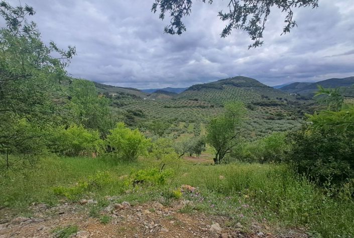 Image No.8-3 Bed Townhouse for sale