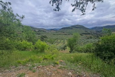 91a188bd40f6a903bfc4da1e0a41b86411828