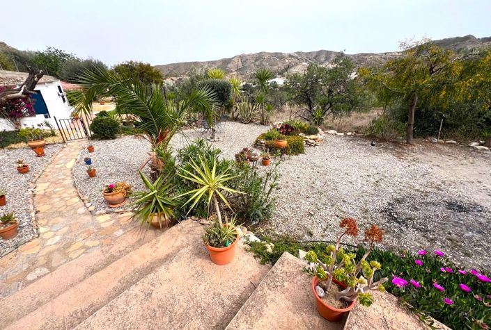 Image No.7-5 Bed Finca for sale