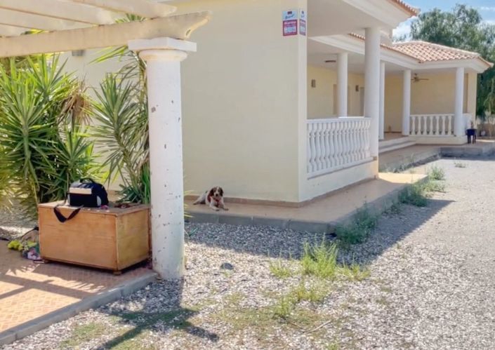 Image No.30-Villa de 4 chambres à vendre à Albox