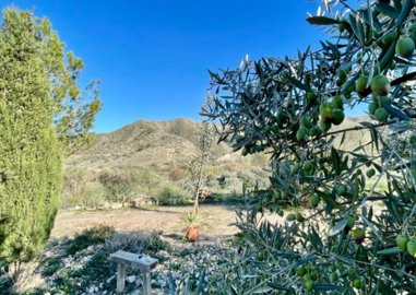 40588603aaca9cd3780bee1d73dc568596013