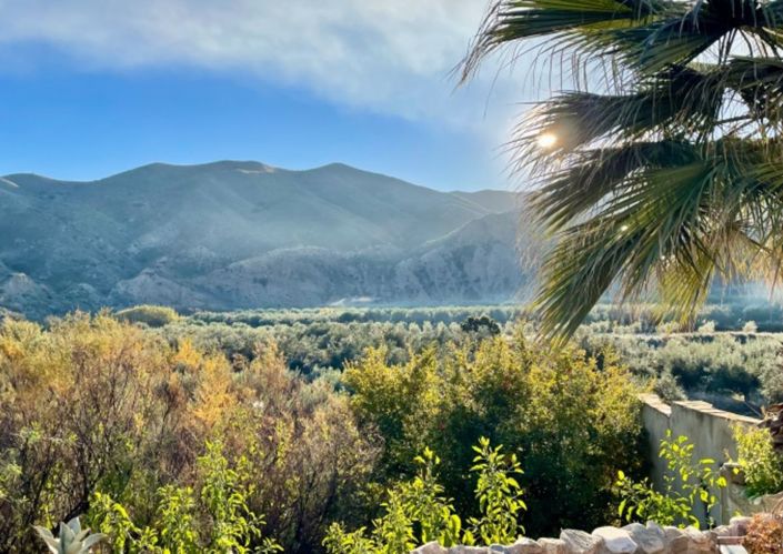 Image No.14-4 Bed Country House for sale