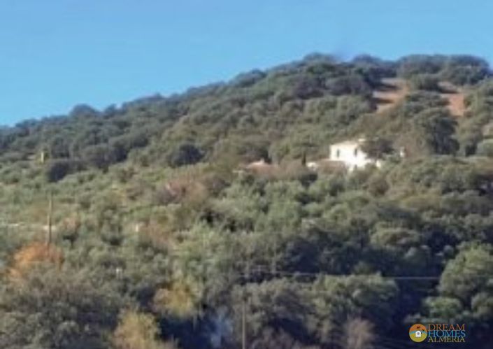 Image No.39-4 Bed Villa / Detached for sale