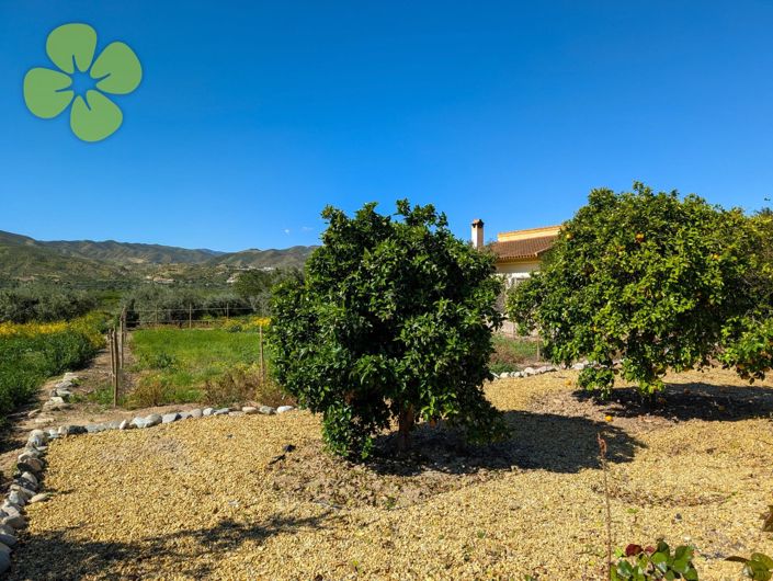 Image No.25-Cortijo de 8 chambres à vendre à Arboleas
