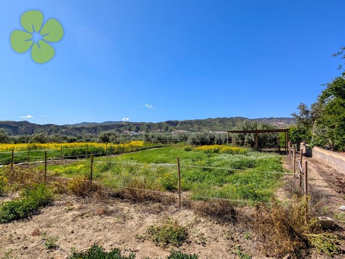 Image No.26-Cortijo de 8 chambres à vendre à Arboleas