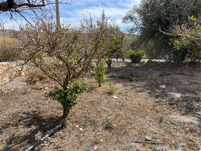 Image No.28-Cortijo de 7 chambres à vendre à Albox