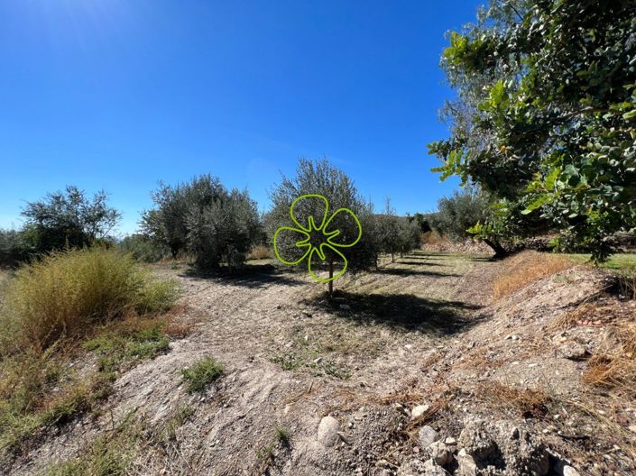 Image No.29-Cortijo de 5 chambres à vendre à Albox