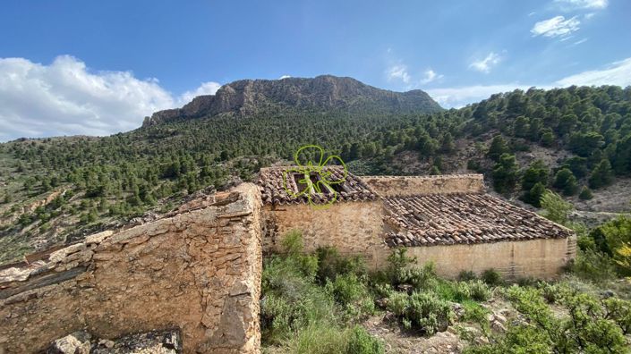 Image No.11-4 Bed Cortijo for sale