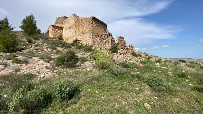 Image No.9-4 Bed Cortijo for sale