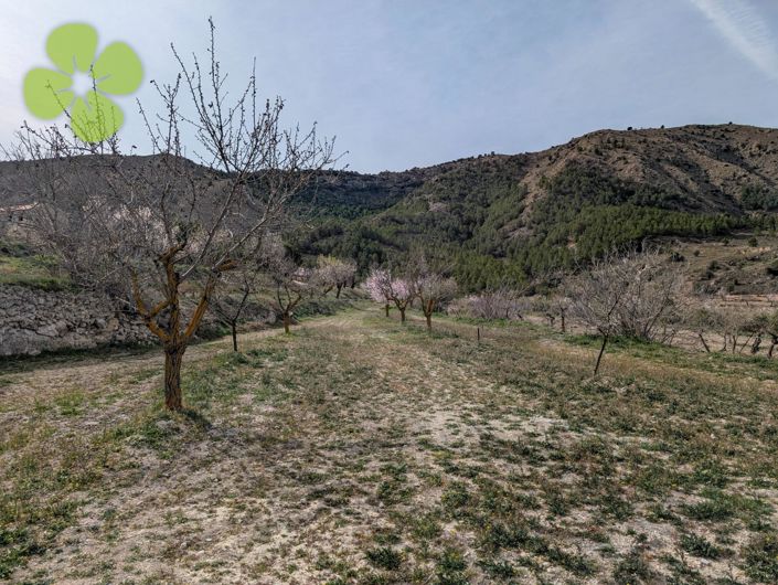 Image No.16-3 Bed Cortijo for sale