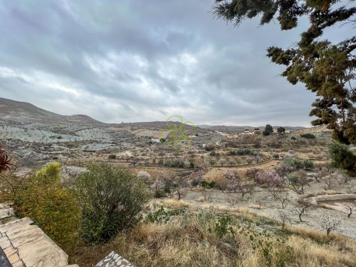 Image No.21-4 Bed Cortijo for sale