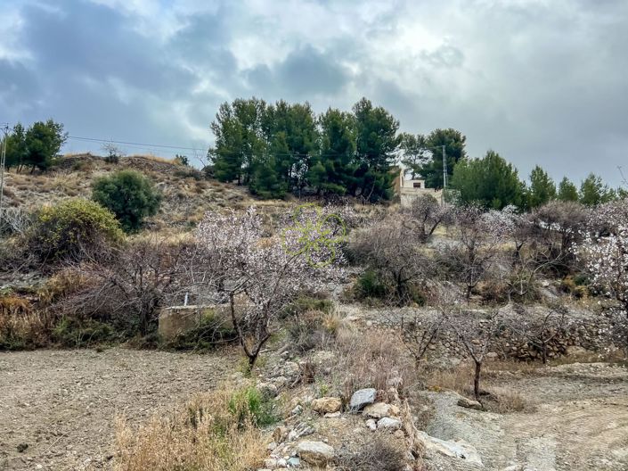 Image No.22-4 Bed Cortijo for sale