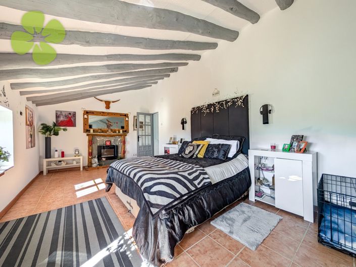 Image No.18-5 Bed Cortijo for sale