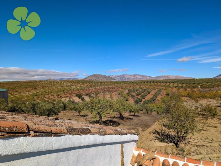 Image No.23-5 Bed Cortijo for sale