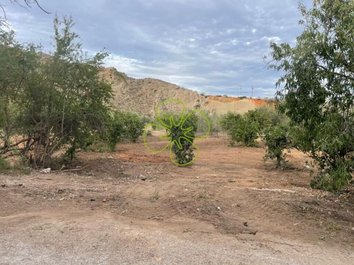 Image No.6-2 Bed Cortijo for sale