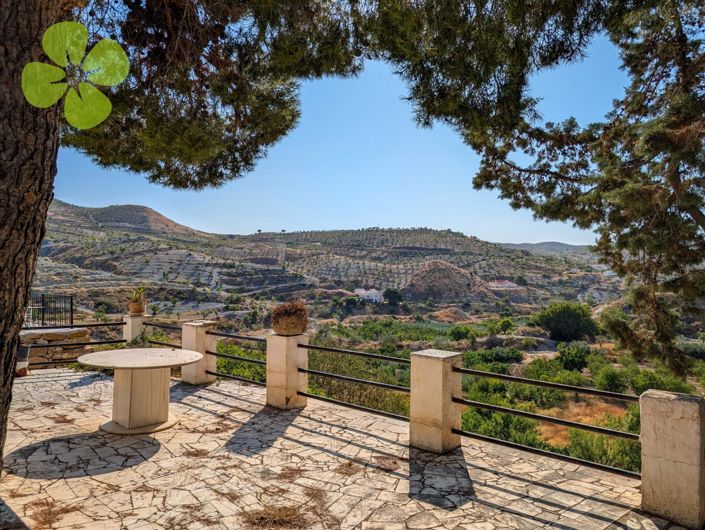 Image No.2-4 Bed Cortijo for sale